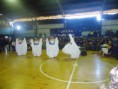 /album/fotogaleria/a384141-295462610498124-569391113-n-jpg/